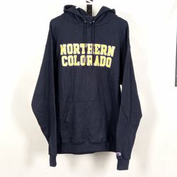 HOODIE E FELPE CHAMPION (PACCHETTO 10)