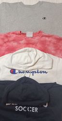 Champion Hoodies/ Sweatshirt (2291)