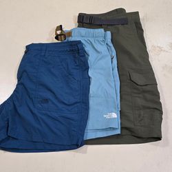 AV-0044 The North Face Shorts