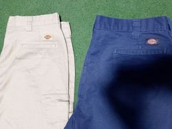 Dickies Shorts