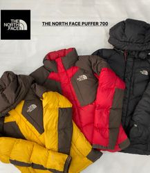 Branded The North Face Puffer Jacket 700