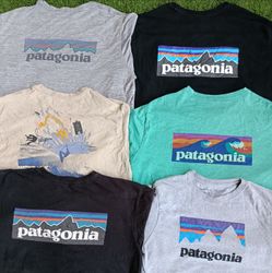 パタゴニア Tシャツ S/S L/S (2243)