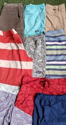 Patagonia Shorts (2342)