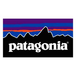 Patagonia T-Shirts