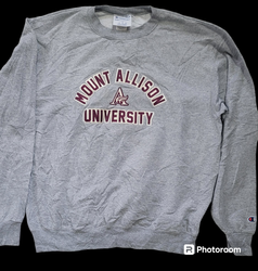 Champion sweatshirt and hoodies
