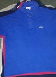 Lacoste T-Shirt