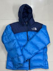 The North Face Puffer jacket 700/800