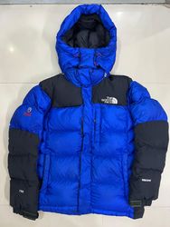 The North Face Puffer Jackets 700