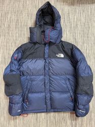 The north face puffers