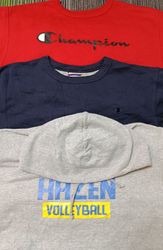 Champion Hoodies /Sweatshirt (2399)