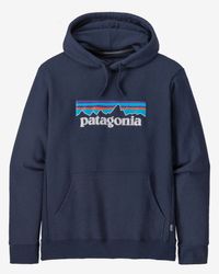 Patagonia sweatshirt & Hoodies