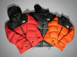 おしゃれなThe North Faceのダウンジャケット
