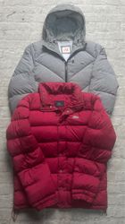 Chaquetas acolchadas Lacoste