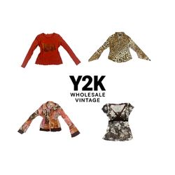 Y2K European Mesh Long Sleeve Tops  (YWV230)