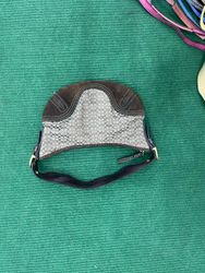 Borsa Coach