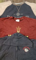 Champion Hoodies/ Sweatshirt (2492)