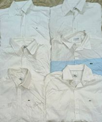 Lacoste shirts