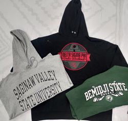 ZV0192 Champion Hoodies