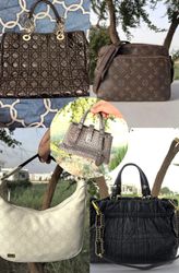 Dior louis vuttion gucci bottega handbags