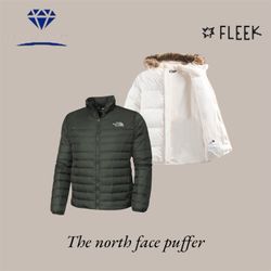 The north face puffer (DV -10-184)