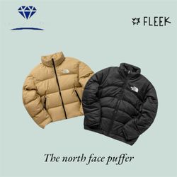 The north face puffer (DV -10-181)