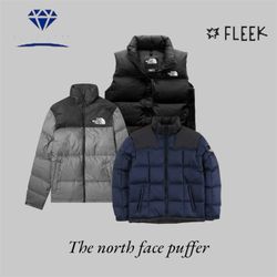 The north face puffer (DV -10-183)