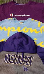Champion Hoodies/ Sweatshirt (2562)