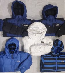 The North Face Puffer Jackets