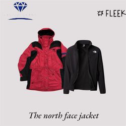 The north face jacket  (DV -10-256)