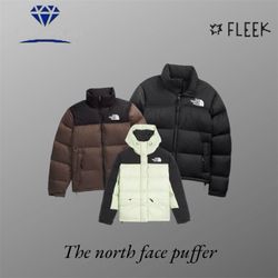 The north face puffer (REP)