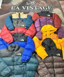 The north face nutpse puffers 700