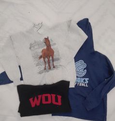 ZV0502 bedruckter Hoodie-Sweatshirt