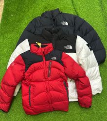 The north face jacket