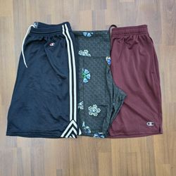 AV-0213 Champion Shorts