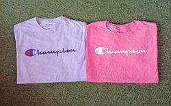 Champion T-Shirts (15) pc "2738"