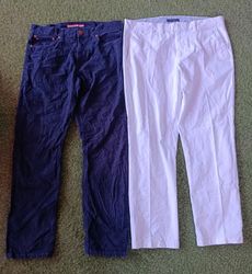 Tommy Hilfiger Pants 2741