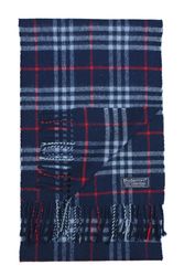 Burberry scarve
