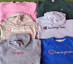 Champion hoodies/sweatshirt 14Pcs (2805)