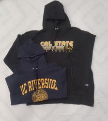 ZV0662  Champion Hoodie