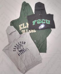 ZV0663 Champion Hoodie