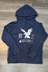 768 - アメリカンイーグル & ホリスターのフーディ