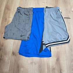 AV-0249 Nike Sports Shorts