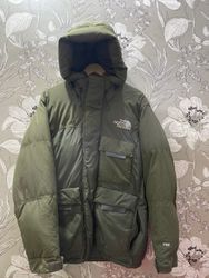 The North face puffers jacket
