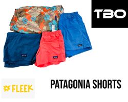 Patagonia short
