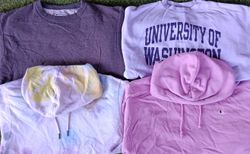 Champion hoodies/sweatshirt 10Pcs (3002)