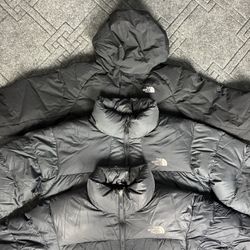 The North Face Puffer 700 model (Cv-1)