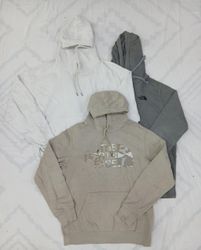 CRZ0749 Vintage The North Face Hoodie