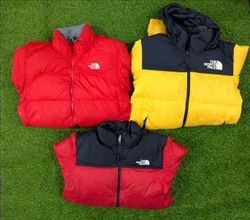 The North Face 700 Puffers