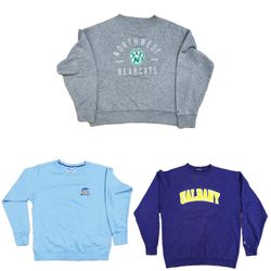 「オーセンティック チャンピオン スウェットシャツ」