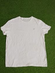 アメリカンイーグル ラウンドネック Tシャツ